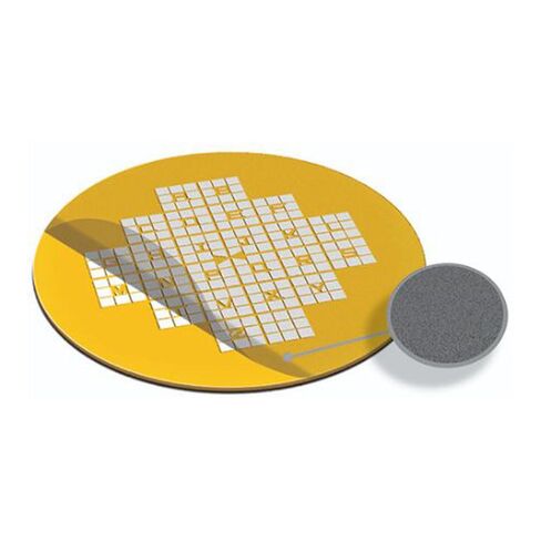 EMS CF200F2-Au-ET Carbon Support Film, Gilder Finder Grid, F2 Type, 20-30 nm Thick, Gold (Pack of 50) in Kuwait