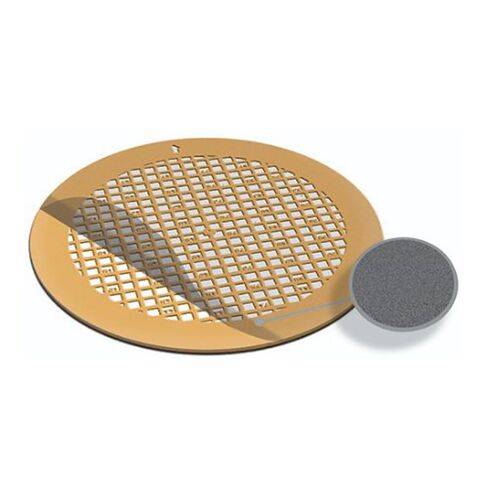 EMS CF200F1-Au-ET Carbon Support Film, Gilder Finder Grid, F1 Type, 20-30 nm Thick, Gold (Pack of 50) in Saudi Arabia