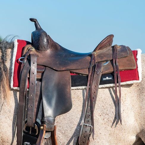 Classic Equine Performance Trainer Saddle Pad, Felt Top, Maroon in Saudi Arabia