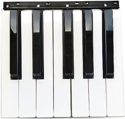جزء لوحة مفاتيح بديلة باللون الأسود والأبيض لـ Korg PA500 PA600 PA700 PA300 (12 مفتاحًا أسود أبيض) in Kuwait