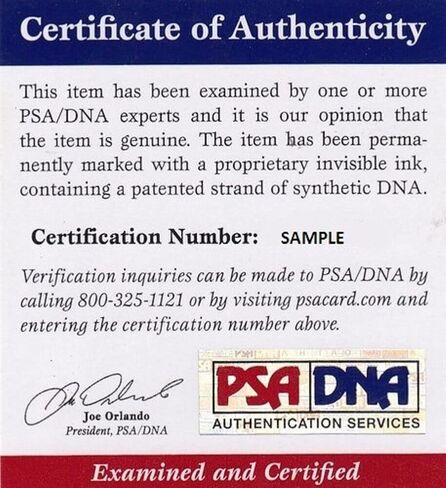 Don Mattingly Signed OAL Baseball Autographed Yankees PSA/DNA AL87864 in Saudi Arabia