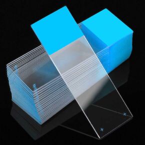 Globe Scientific Diamond 1358B White Glass Charged Microscope Slide, 25 x 75mm Size, Ground Edges, Blue Frosted (1,440 slides) in Saudi Arabia