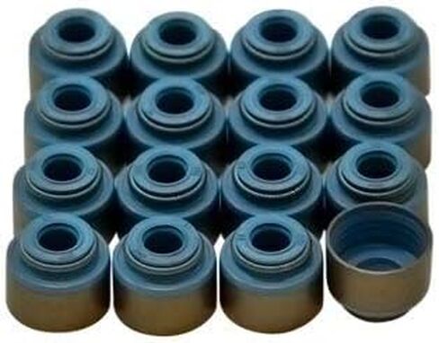 GSC قسم الطاقة 1041 D16/B18-21/ H23 فيتون 6.6 مللي متر مجموعة سدادات صمام الجذعية in Saudi Arabia