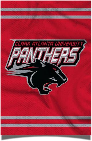 ملصق جامعة Desert Cactus Clark Atlanta University CAU Panthers مقاس 11 × 17 بوصة لديكور غرفة المكتب ومعدات المعجبين الرسمية (11x17، الإصدار 3) in Saudi Arabia