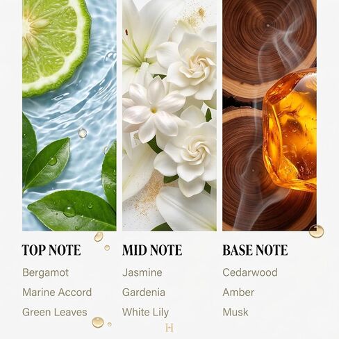 Hotel Lobby Diffuser Oil Refill 200ml (6.76oz), Natural Pure Essential Oil, Hilton Inspired Scent, Melon Freesia Sandalwood Blend for Waterless & Ultrasonic Diffusers, Home Fragrance in Saudi Arabia