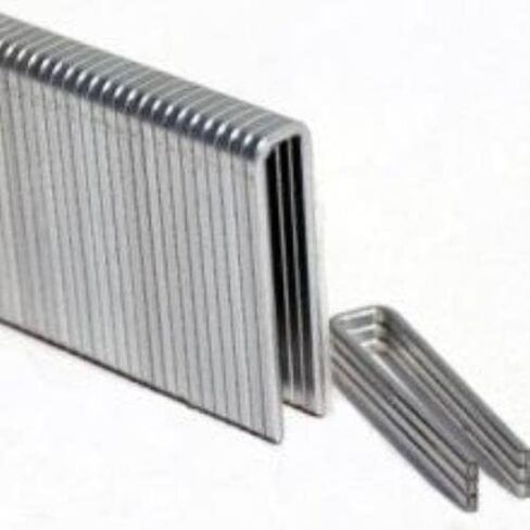 L15 مقاس 18 × تاج 1/4 بوصة × دبابيس مجلفنة بطول 1-1/4 بوصة (5000 لكل صندوق) in Kuwait