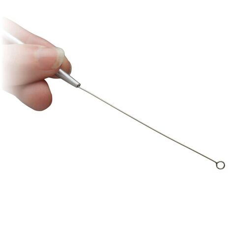Economy Nichrome Wire Inoculating Loop, 25 Gauge in Saudi Arabia