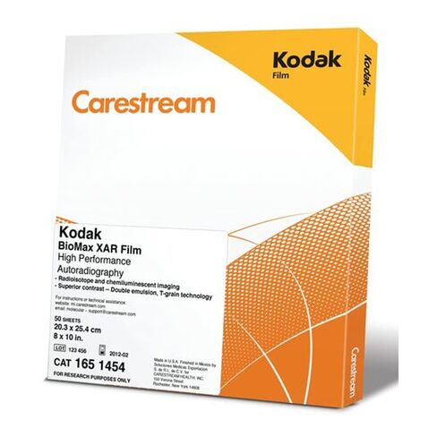 MilliporeSigma F5388-50EA Sigma-Aldrich Care Stream Kodak BioMax XAR Film، 5 بوصة (13 سم) × 7 بوصة (18 سم) in Saudi Arabia
