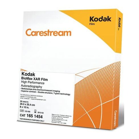 MilliporeSigma F5388-50EA Sigma-Aldrich Care Stream Kodak BioMax XAR Film، 5 بوصة (13 سم) × 7 بوصة (18 سم) in Saudi Arabia