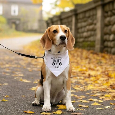 Will You Marry My Dad? Dog Bandana, Black Dog Bandana, Funny Wedding Pet Dog Bandana, Dog Engagement Announcement Dog Bandana, Gift for Dog Lover, Dog Bandana for Small Medium Large Dogs (D74) in Saudi Arabia