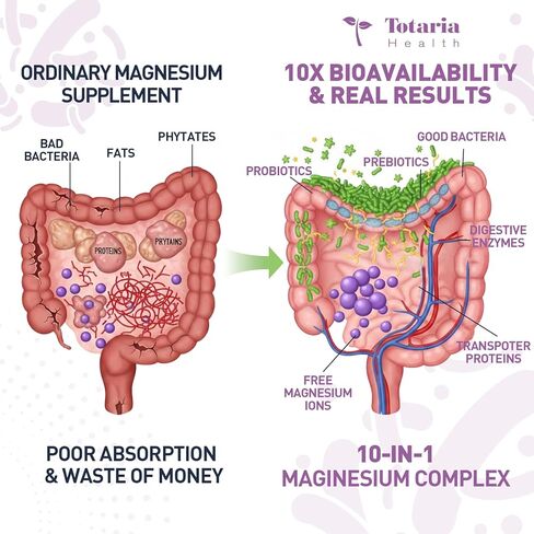 10-in-1 Magnesium Complex Supplement with Probiotics Prebiotics & Digestive Enzymes, 100 Billion CFU Probiotics for Women, High Absorption for Muscle, Sleep Calm, Gut & Digestive Health, Vegan Non-GMO in Kuwait