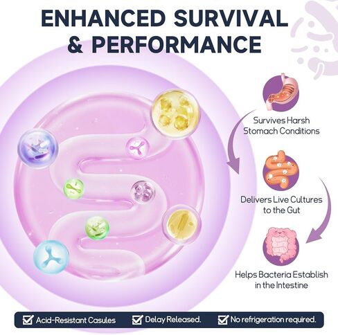 10-in-1 Magnesium Complex Supplement with Probiotics Prebiotics & Digestive Enzymes, 100 Billion CFU Probiotics for Women, High Absorption for Muscle, Sleep Calm, Gut & Digestive Health, Vegan Non-GMO in Kuwait