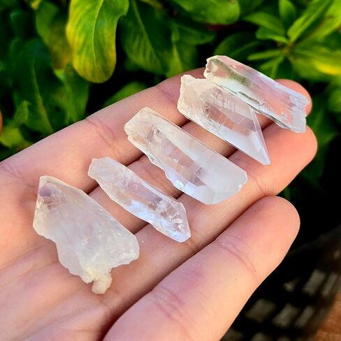 كريستال بذور الليموري، أو كوارتز الليموري من البرازيل أحجار كريمة علاجية كريستالية خام طبيعية - مجموعة مكونة من 5 قطع in Kuwait