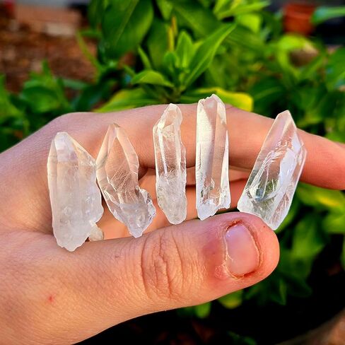 كريستال بذور الليموري، أو كوارتز الليموري من البرازيل أحجار كريمة علاجية كريستالية خام طبيعية - مجموعة مكونة من 5 قطع in Kuwait