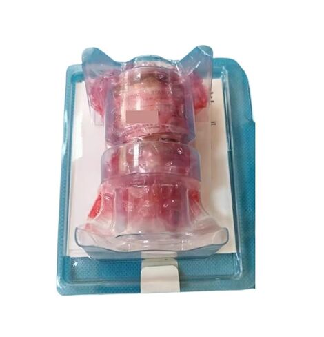 Vacuum Gauge TTR91NS 230040V02 for Factories for Measuring and Regulating Air Pressure, Etc in Saudi Arabia
