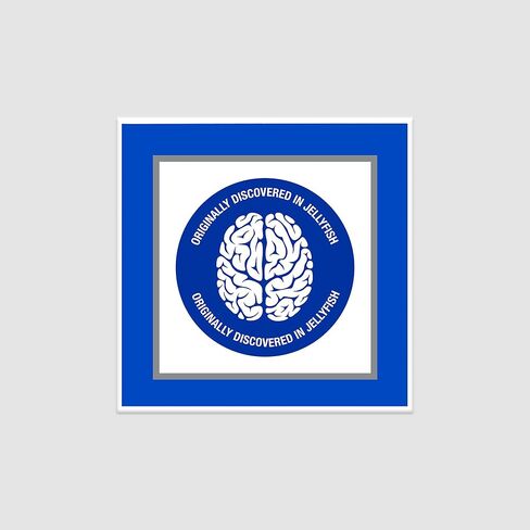 Prevagen Regular Strength - 90 Capsules (3 Month Supply) | Formulated for Your Brain | 10mg of Apoaequorin Plus Vitamin D3 with 7-Day Pill Minder in Kuwait