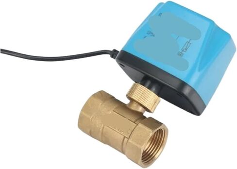 1/2 "3/4" 1 "2" صمام كروي AC220V DC12V DC24V 2-سلك صمام كروي نحاسي مغلق عادة (1,24VDC_عادي مفتوح) in Kuwait