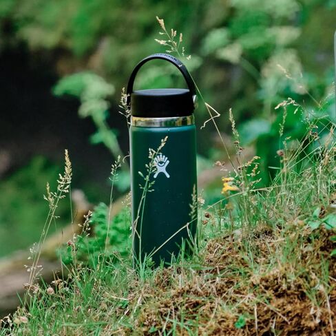 Hydro Flask Water Bottle - Insulated Stainless Steel - Wide Mouth Flex Lid, Non Spill, Leakproof and Refillable in 20 Oz Agave Green in Saudi Arabia