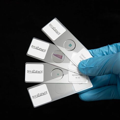 Typical Animals and Plants Cells Microscope Slides, Amphiuma Liver, Human Oral Epithelium, Fava Bean Lower Epidermis, Onion Epidermis, 4 Prepared Slides for Biology Science Class in Kuwait