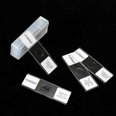 Typical Animals and Plants Cells Microscope Slides, Amphiuma Liver, Human Oral Epithelium, Fava Bean Lower Epidermis, Onion Epidermis, 4 Prepared Slides for Biology Science Class in Kuwait