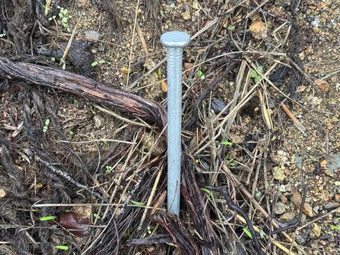 مسامير سبايك ذات مناظر طبيعية مقاس 3/8 بوصة × 10 بوصة من Sandbaggy - مسامير خشبية مجلفنة - البناء، حواف المناظر الطبيعية، الإطار، نسيج المناظر الطبيعية (3/8 بوصة × 10 بوصة (مجلفنة)، 20) in Kuwait