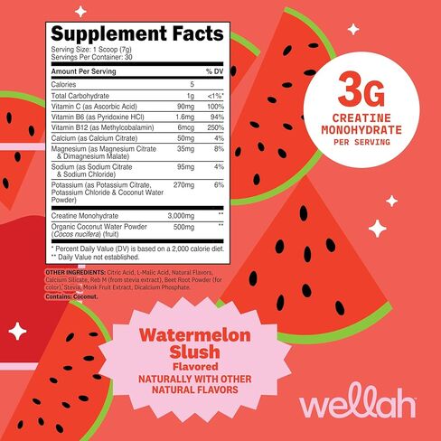 ويلا كرياتين + مسحوق إلكتروليتات (بطيخ سلاش) 30 حصة - مزيج مشروب الترطيب مع 3 جرام من الكرياتين مونوهيدرات in Kuwait