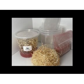 مجموعة ثقافة ذبابة الفاكهة التي لا تطير (D. hydei) - تتضمن: 1 ثقافة كاملة، 3 حاويات بأغطية، 4 أوقية متوسطة جافة، صوف خشبي، مع الاتجاهات in Kuwait