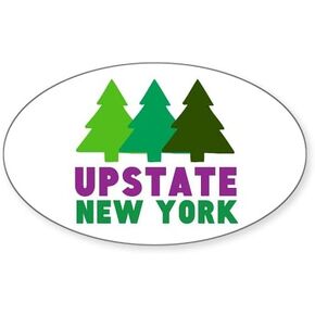 CafePress Upstate NEW YORK (Pine Trees) Oval Bumper Sticker Car Decal in Kuwait