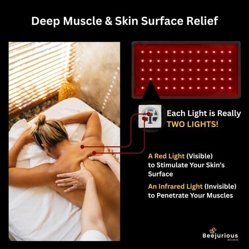 Cordless Red Light Therapy Belt | New Long Lasting Battery | Pain Relief | Red Light & Infrared Light Technology | 660nm 850nm Infrared Light in Saudi Arabia