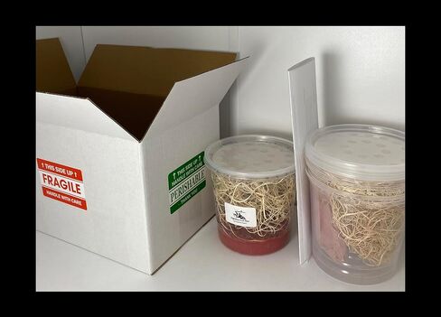 مجموعة ثقافة ذبابة الفاكهة التي لا تطير (D. hydei) - تتضمن: 1 ثقافة كاملة، 3 حاويات بأغطية، 4 أوقية متوسطة جافة، صوف خشبي، مع الاتجاهات in Kuwait