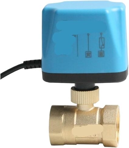1/2 "3/4" 1 "2" صمام كروي AC220V DC12V DC24V 2-سلك صمام كروي نحاسي مغلق عادة (1,12VDC_عادي مفتوح) in Saudi Arabia