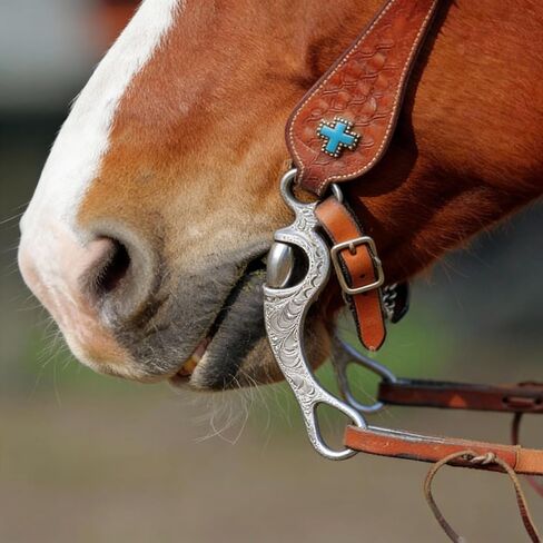Southwestern Equine Featherlite Pro Series Aluminum Bit Collection (Copper Correction Bit, 5" Mouth - 8-1/2" Cheeks) in Saudi Arabia