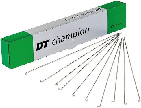 DT Swiss Champion Speichen in Saudi Arabia