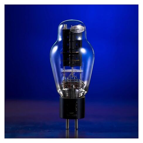 WE300B Plus Vacuum Tube Replaces 300B Precision Matching(1PCS) in Saudi Arabia