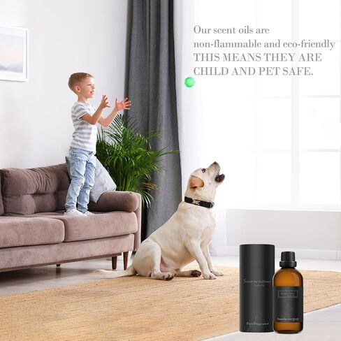 زيت عطري لآلة هواء الرائحة للمنزل، روائح منزلية فاخرة، 100 مل من زيوت عطرية طبيعية من الشاي الأبيض المتناغم للهواء البارد، موزع روائح العلاج العطري HVAC، فندق لموزع الروائح in Kuwait