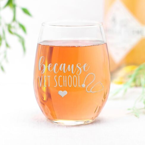 Because Vet School Stemless Wine Glass - Veterinarian, Vet Tech Gift - 1 Glass in Kuwait