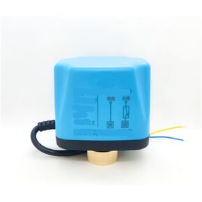 DN15-50 محرك صمام الكرة ذو السلكين AC220V DC24V DCV12V صمام المحرك (12VDC، عادي مفتوح) in Kuwait