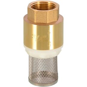 1 Piece 1/2" 3/4" 1" BSPP Female Brass Check Valve Check Valve with Steel Filter for Water Heating Pump(3l4) in Kuwait