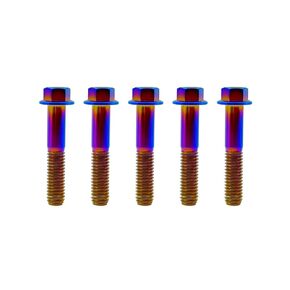 RISON-Titanium RISON Titanium Bolts Titanium Flanged Hex Head Bolt M6x1.0x15mm 6AL4V Aerospace Grade Ti Bolt Burnt Blue Titanium Bolt for Motorcycle Car Modification Pack of 5 in Kuwait