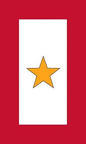 ملصق علم الخدمة بنجمة ذهبية مقاس 3 × 5 بوصة - الجيش العسكري الساقط خدم أعطى جميع ملصقات الفينيل ملصق سيارة مقاوم للماء ملصق مصد السيارة in Kuwait