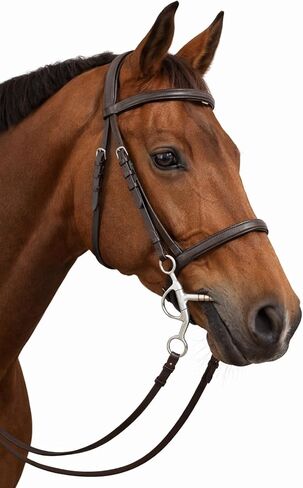 Horse 5.5" Mouth Studded Eggbutt Sweet Iron Snaffle Horse Bit 35327C in Saudi Arabia