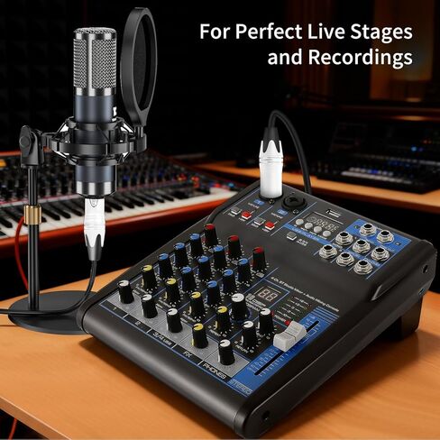 كابلات XLR 3 أقدام 2 حزمة XLR كابل ميكروفون ذكر إلى أنثى كابل مكبر صوت XLR متوازن 3 دبابيس in Saudi Arabia