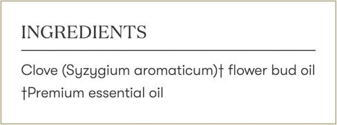 Clove Vitality 5ml by Young Living - Antioxidant and Immune System Support - Warm and Spicy Flavor, Tea Flavoring, Baked Goods Flavor - Culinary Essential Oil for Recipes in Saudi Arabia
