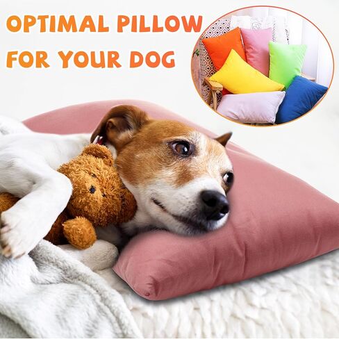 6 Pack Mini Pillows for Daycare 9.1 x 13.8'' Small Travel Pillow Bulk Soft Breathable Cotton Pillow for Kids School Nap Travel Pet Neck Lumbar Purse Insert (Light Color) in Saudi Arabia