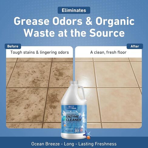 Creative Scents Multipurpose Enzyme Cleaner & Odor Remover | Deodorizer for Floor, Carpet, Drain, Pipes | Pet Urine Odor Eliminator | Enzyme Cleaner for Cat Urine & Dog Poop | Half Gallon Ocean Breeze in Saudi Arabia