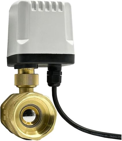 1PCS 220AC 1/2" 3/4" 1" 2" Waterproof Ball Valve 220V 12V 24V Brass Ball Valve Three-Wire or Two-Wire Brass Ball Valve(2",220AC_CR04) in Kuwait