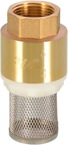 1 Piece 1/2" 3/4" 1" BSPP Female Brass Check Valve Check Valve with Steel Filter for Water Heating Pump(3l4) in Kuwait