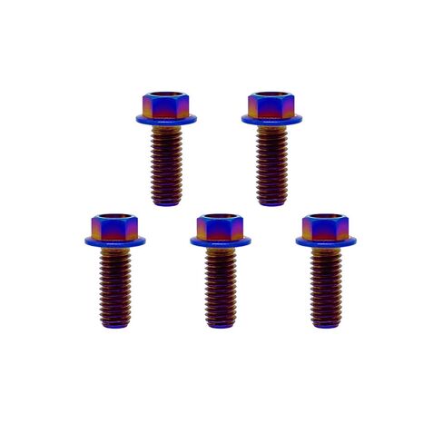 RISON-Titanium RISON Titanium Bolts Titanium Flanged Hex Head Bolt M6x1.0x15mm 6AL4V Aerospace Grade Ti Bolt Burnt Blue Titanium Bolt for Motorcycle Car Modification Pack of 5 in Saudi Arabia