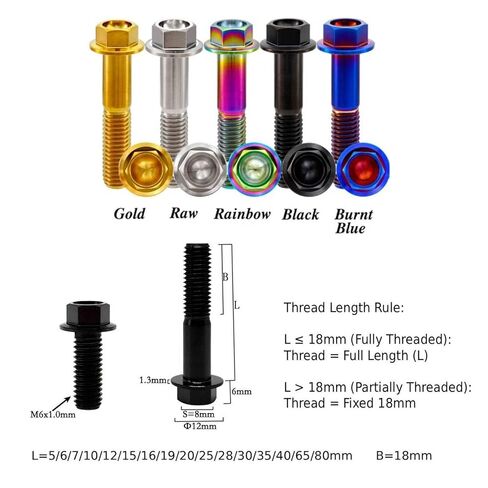 RISON-Titanium RISON Titanium Bolts Titanium Flanged Hex Head Bolt M6x1.0x15mm 6AL4V Aerospace Grade Ti Bolt Burnt Blue Titanium Bolt for Motorcycle Car Modification Pack of 5 in Saudi Arabia