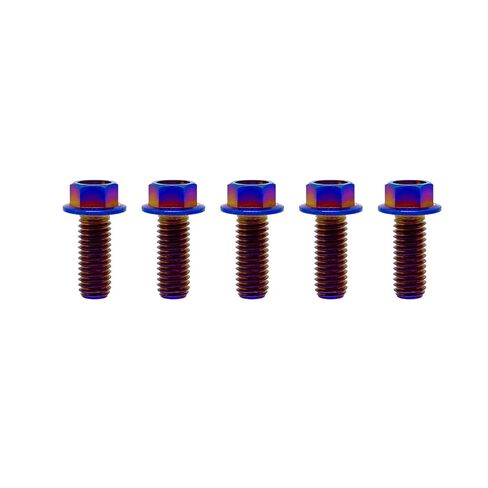 RISON-Titanium RISON Titanium Bolts Titanium Flanged Hex Head Bolt M6x1.0x15mm 6AL4V Aerospace Grade Ti Bolt Burnt Blue Titanium Bolt for Motorcycle Car Modification Pack of 5 in Saudi Arabia
